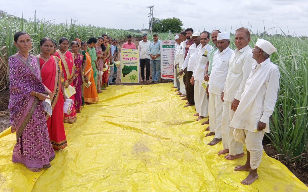 World Environment Day 2025