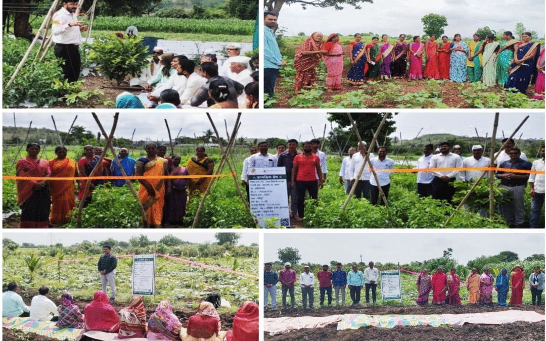 Strengthening Farmer-Centric Practices in Maharashtra