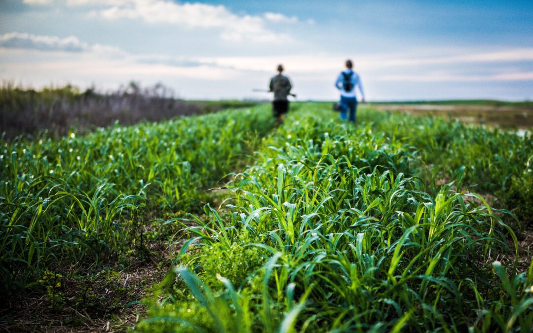 From Inputs to Impact: Agri-Entrepreneurship Drive in Ahmednagar