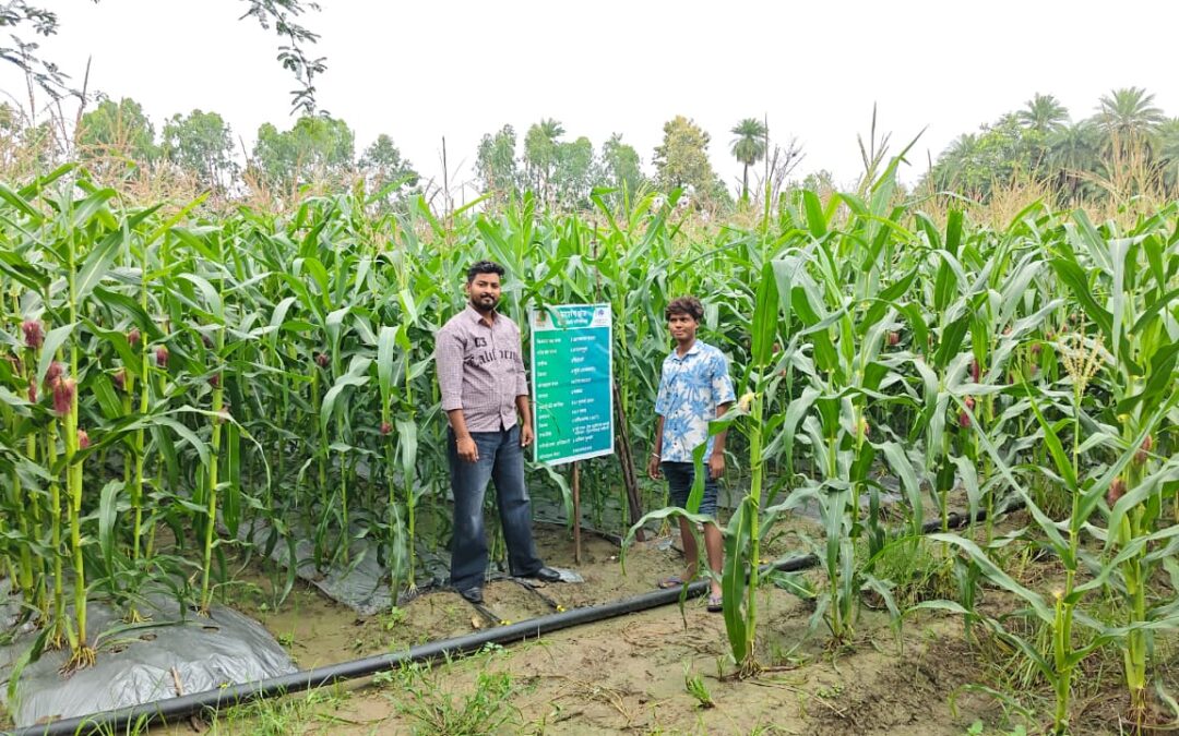 Demonstrating Resource-Efficient Farming Practices
