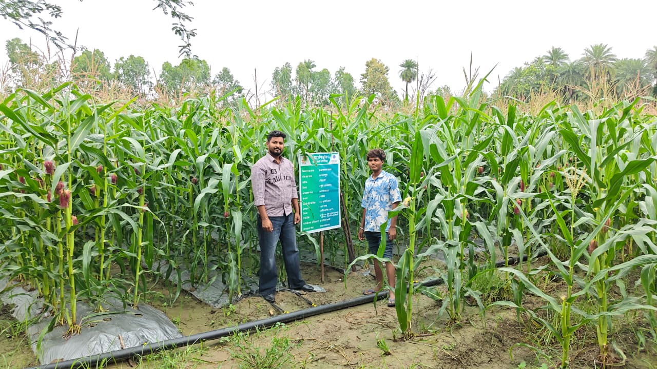 Demonstrating Resource-Efficient Farming Practices